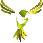 VBirdy Logo Webp